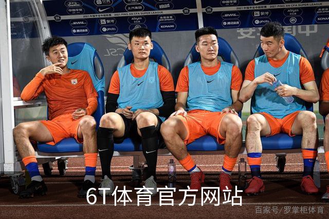 6T体育官方网站公司介绍